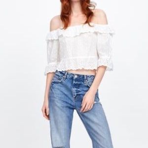 MARKDOWN** ZARA Embroidered Ruffle Crop Top